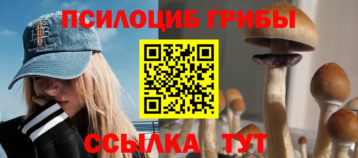 Псилоцибиновые грибы мухоморы Карабулак